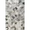 Santa Fe Grey 5 ft. x 8 ft. Abstract Contemporary Area Rug by BASHIAN