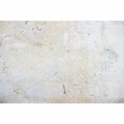 Everek Ivory/Gold 8 ft. x 10 ft. Abstract Transitional Area Rug by BASHIAN -BASHIAN Shop ivory gold bashian area rugs 649652314587 1f 1000