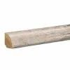 Mist 0.62 in. T x 0.75 in. W x 94.5 in. L Quarter Round Molding by PERFORMANCE ACCESSORIES